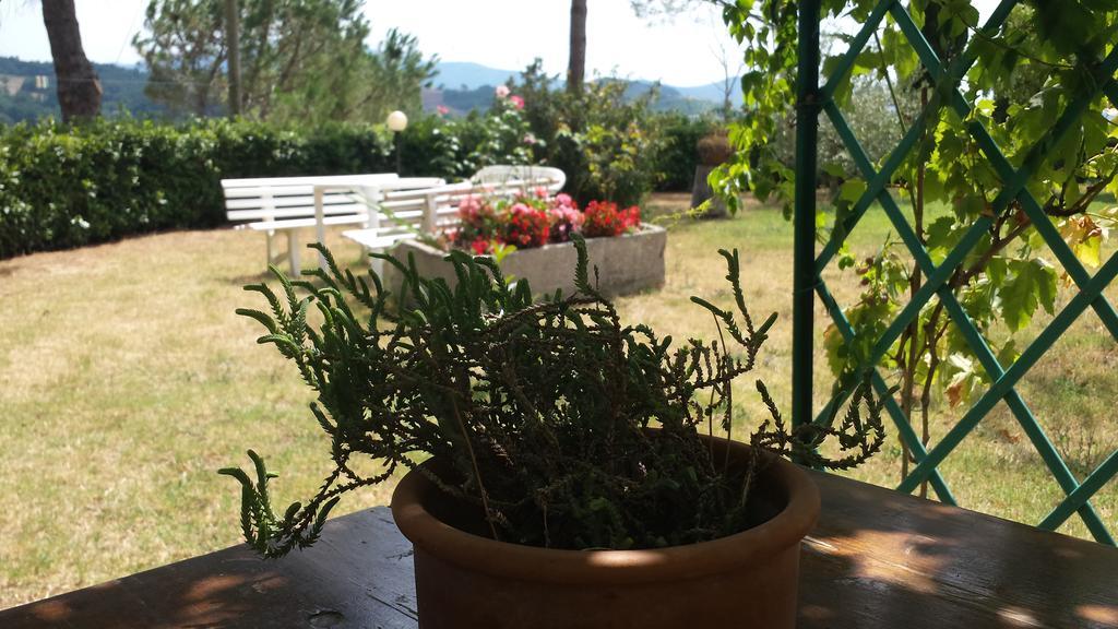 Agriturismo Il Catrino Ponteginori Luaran gambar