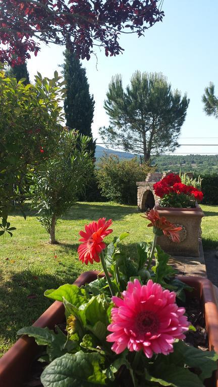 Agriturismo Il Catrino Ponteginori Luaran gambar
