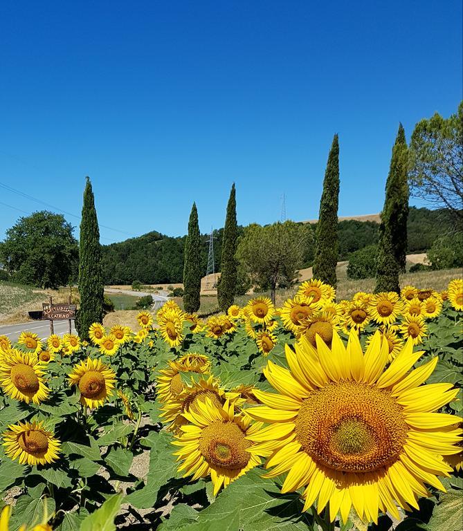 Agriturismo Il Catrino Ponteginori Luaran gambar