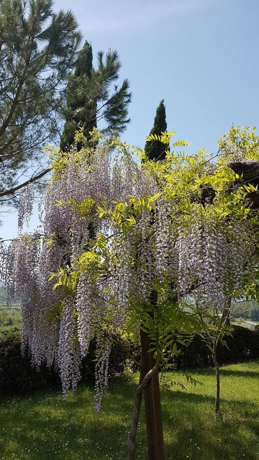 Agriturismo Il Catrino Ponteginori Luaran gambar